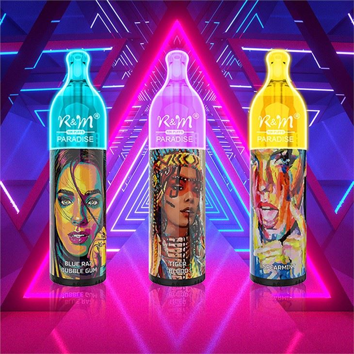 R&M Paradise 10000 Puffs Vape jetab