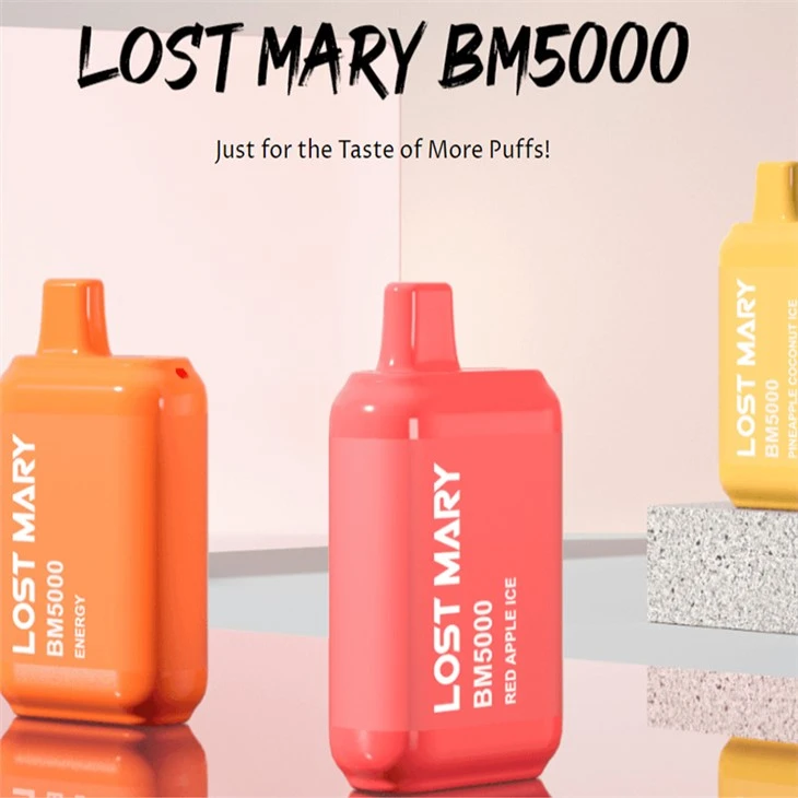 LostMary 5000