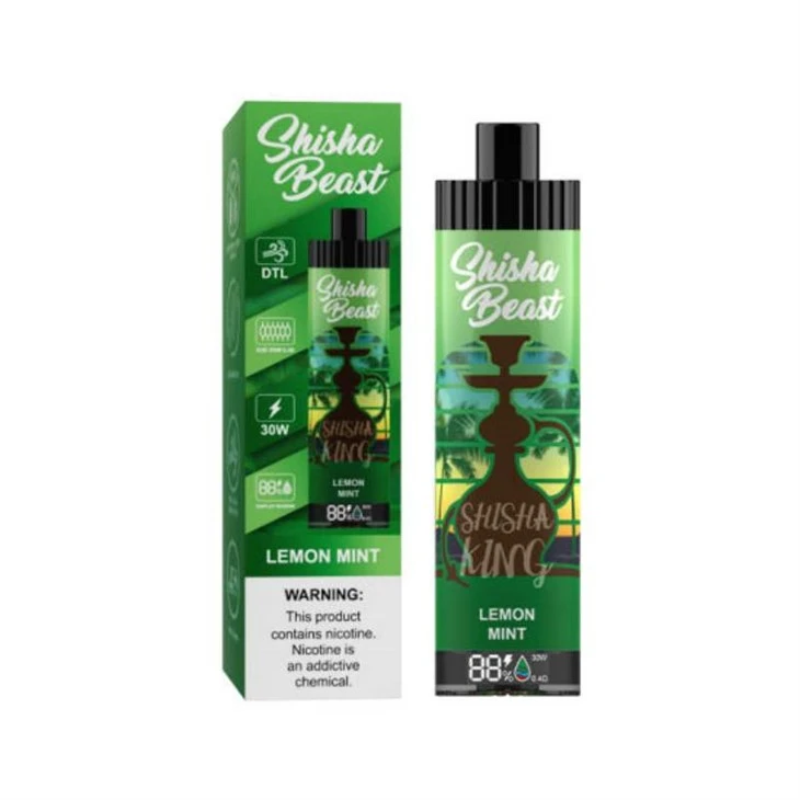 R&M ShiSha bèt 20000 soufle