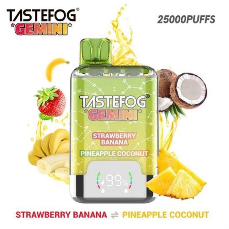 Gastefog Gemini 25K