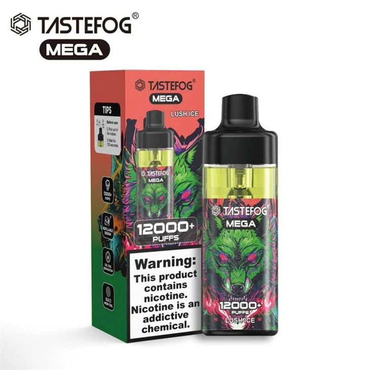 TASTEFOG MEGA 12000 soufle