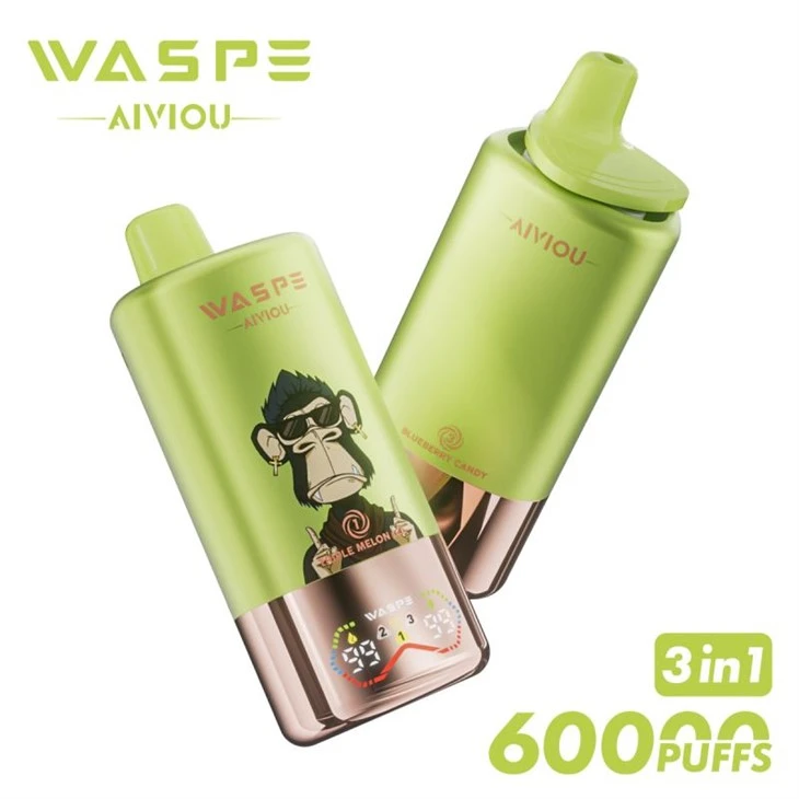 WASPE AIVIOU 60000 souf 3 nan 1 3 gou